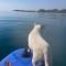 DOLCE VITA-Calme-Vue Mer - Chiatra