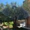Apartments Nadia Umag