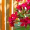 Dunas Luxury Beach Resort Tarifa