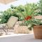 B&B Lovac