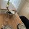 Centar Penthouse