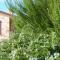 B&B Lavanda e Rosmarino