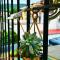 Cal Harry - A Mountainview Duplex in Pyreness - Sant Pau de Seguries