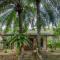 Ging Oya Lodge