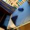 ESTUDIO Torrevieja P & A
