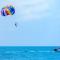 ESTUDIO Torrevieja P & A