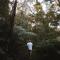 Treetop Tranquility at Rekindle Tree houses