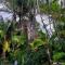 Kennington Palms B&B/Self Catering