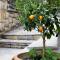 Kumquat Grove Home - Corfu Town