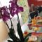 Charming house just a few minutes from the sea - 米提卡斯