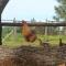 Herdade Monte Do Sol