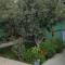 The Olive Grove