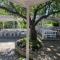Vezhen Hotel - Free Parking