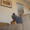 Abergwynant Farm Glamping & Apartments
