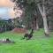 Cape Illawarra Holiday House Margaret River