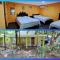 Hotel Cucolindo Surf