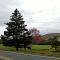 Cajun Cedar Log Cottages - Margaree Forks