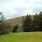 Cajun Cedar Log Cottages - Margaree Forks