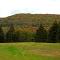 Cajun Cedar Log Cottages - Margaree Forks