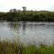 Cajun Cedar Log Cottages - Margaree Forks