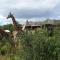 Ndhula Luxury Tented Lodge