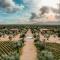 Hábimo - Valle de Guadalupe