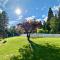 Apartamento en Enveitg, Montana Park - Enveitg
