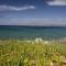 Callista sea view or garden