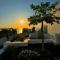 Anthemis Suites