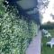 Mxp Rooms Guest House