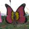 Leah's Crestview Farm Resort - Toledo