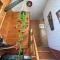 Apartment Pohar