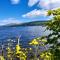 Lochside cottage with scenic terrace views, Argyll - Clynder