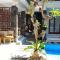 Nyaman Guest House