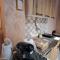 Apartman Iva
