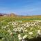 Apartments & rooms Velebit