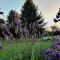 Apartments & rooms Velebit