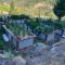 Best property in Benbow with a salt pool-river-redwoods - Гарбервилл