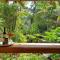 Geckoes Lodge