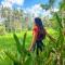 Nirwa Ubud Karma - Ubud