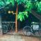 Sigiri Sara Home Stay Nice Village