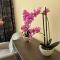 Apartment Zeyerova4 - 卡罗维发利