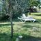 Mobil Home dans camping Lattes
