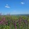 Summit Camping Kit Hill Cornwall Panoramic Views Grass Pitch from 15pn or Bella Bell Tent 75pn - Callington