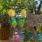 Turaco Lodge