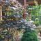 Guesthouse Edena