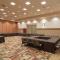 Holiday Inn Stevens Point - Convention Center by IHG - Стивенс Пойнт