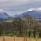 Cae Ffynnon
