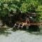 7 CIELOS BACALAR.