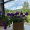 Provence Provence
